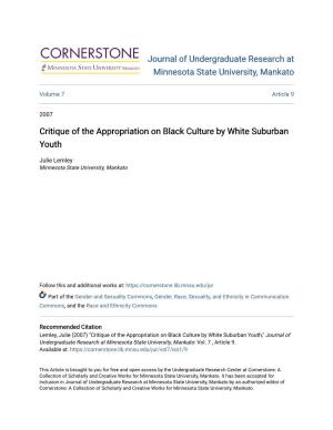 Critique of the Appropriation on Black Culture by White Suburban Youth
