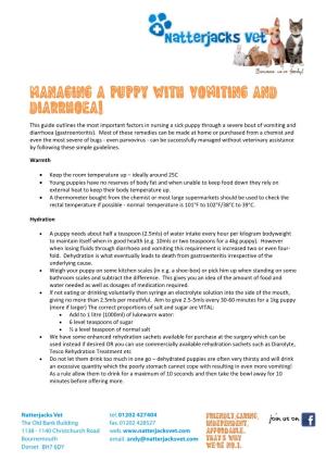 Managing a Puppy with Vomiting and Diarrhoea!