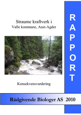 Straume Kraftverk I R Valle Kommune, Aust-Agder A