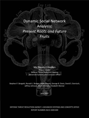 Dynamic Social Network Analysis: Present Roots and Future Fruits
