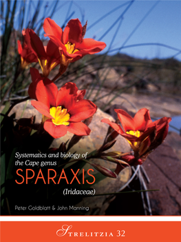 Sparaxis (Iridaceae)