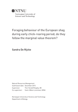 Foraging Behaviour of the European Shag During Early Chick-Rearing Period; Do They Follow the Marginal Value Theorem?