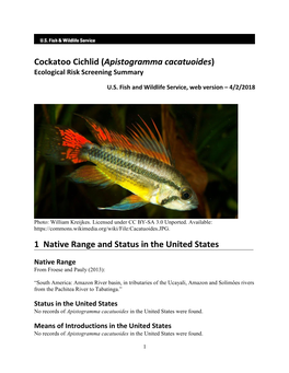 Apistogramma Cacatuoides) Ecological Risk Screening Summary