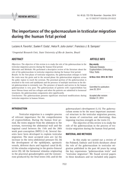 The Importance of the Gubernaculum in Testicular Migration During the Human Fetal Period ______