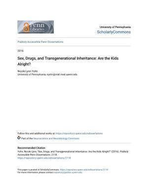 Sex, Drugs, and Transgenerational Inheritance: Are the Kids Alright?