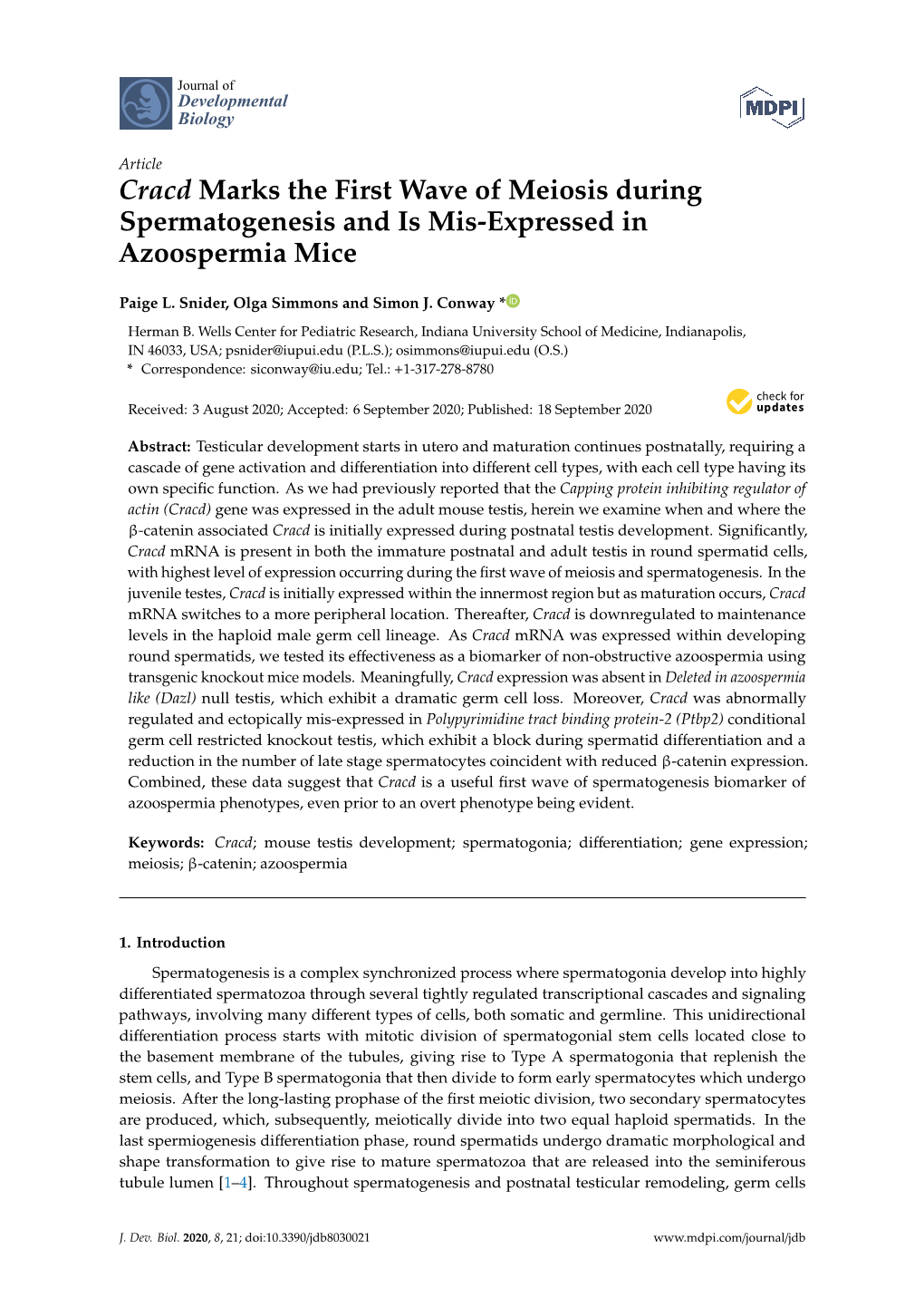 Cracd Marks the First Wave of Meiosis During Spermatogenesis and Is Mis-Expressed in Azoospermia Mice