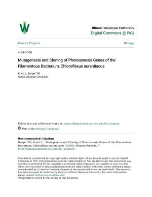 Mutagenesis and Cloning of Photosynesis Genes of the Filamentous Bacterium, Chloroflexus Aurantiacus