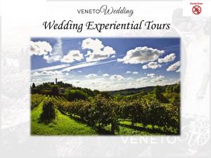 Weddings in Veneto