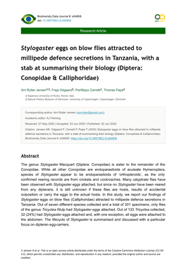 Stylogaster Eggs on Blow Flies Attracted to Millipede Defence Secretions in Tanzania, with a Stab at Summarising Their Biology (Diptera: Conopidae & Calliphoridae)