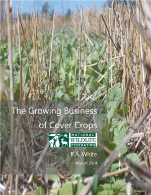 The Growing Business of Cover Crops