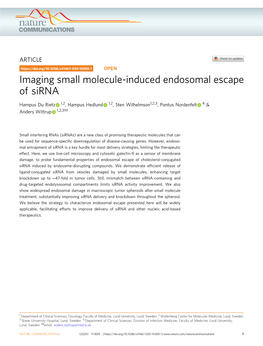Imaging Small Molecule-Induced Endosomal Escape of Sirna