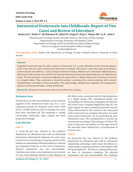 Intravesical Ureterocele Into Childhoods: Report of Two Cases and Review of Literature