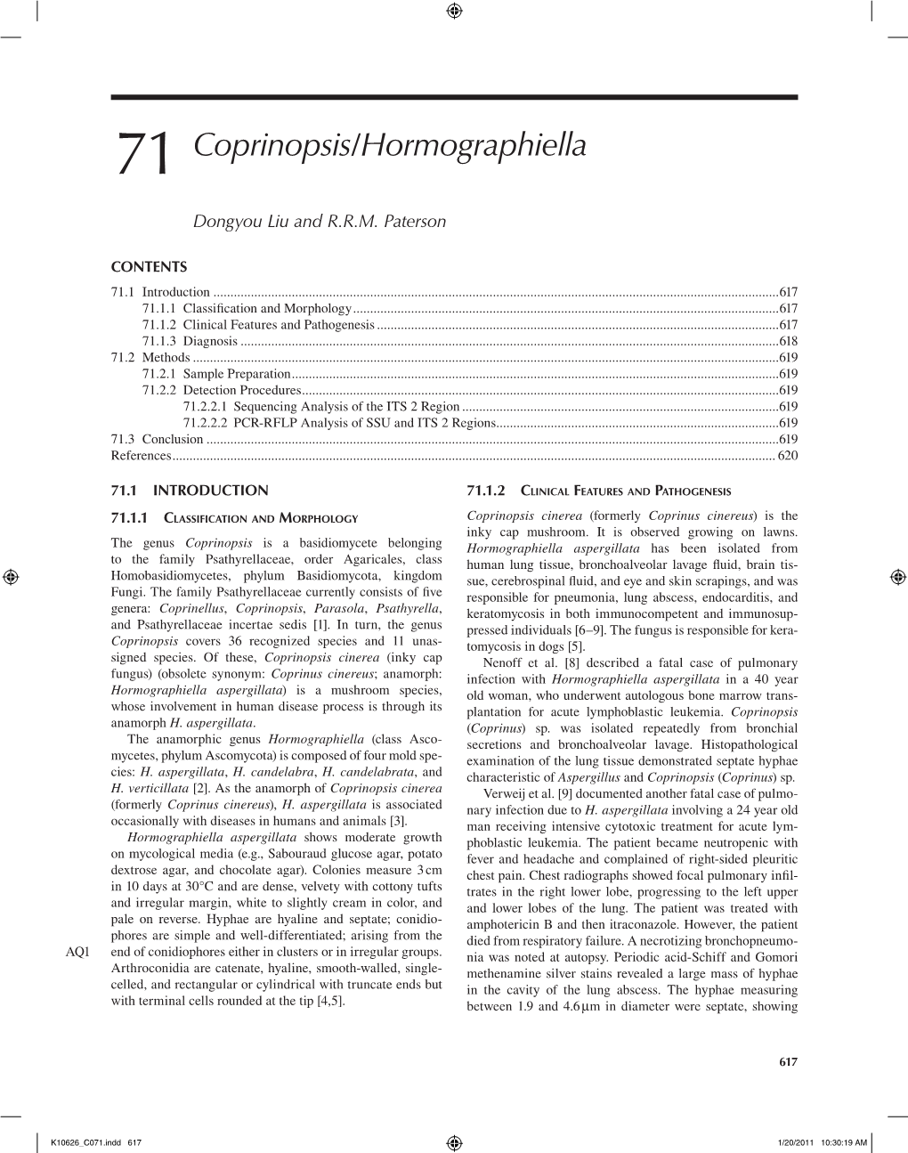 71 Coprinopsis/Hormographiella