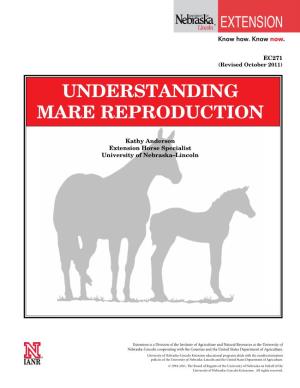 Understanding Mare Reproduction