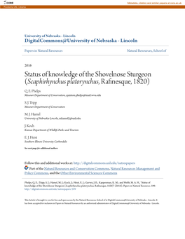 Status of Knowledge of the Shovelnose Sturgeon (Scaphirhynchus Platorynchus, Rafinesque, 1820) Q