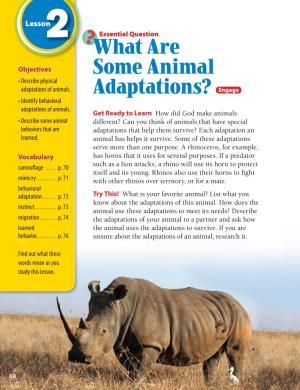 What Are Some Animal Adaptations? Animals Rely on Physical Adaptations, Instincts, and Learned Behaviors to Survive in Their Environments