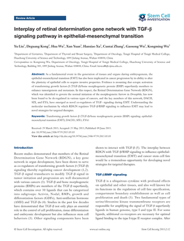 Interplay of Retinal Determination Gene Network with TGF-Β Signaling