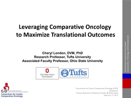 Leveraging Comparative Oncology to Maximize Translational Outcomes