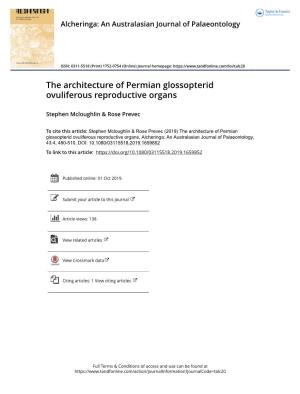The Architecture of Permian Glossopterid Ovuliferous Reproductive Organs