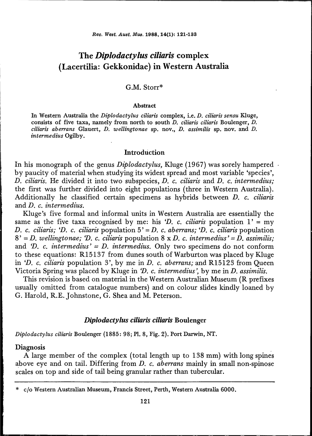 The Diplodactylus Ciliaris Complex (Lacertilia: Gekkonidae) in Western Australia