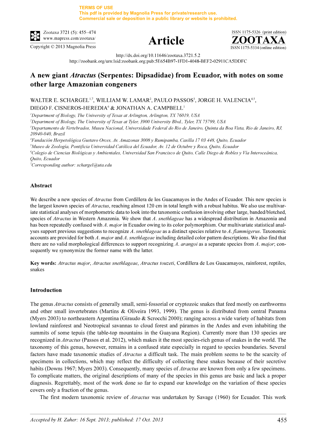 A New Giant Atractus (Serpentes: Dipsadidae) from Ecuador, with Notes on Some Other Large Amazonian Congeners