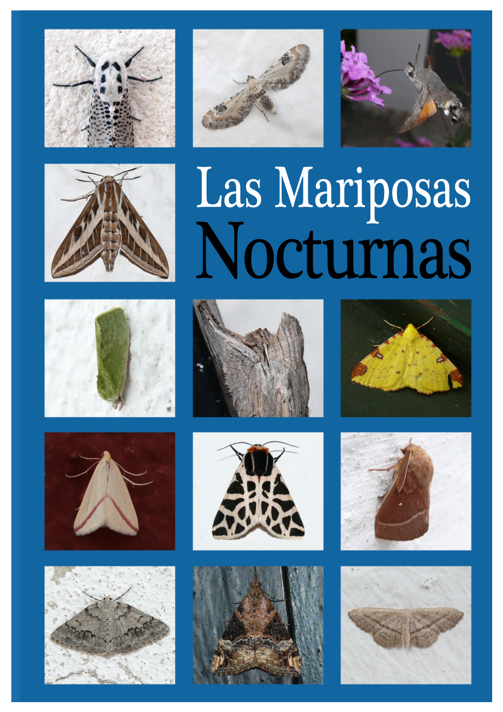 Las Mariposas Nocturnas