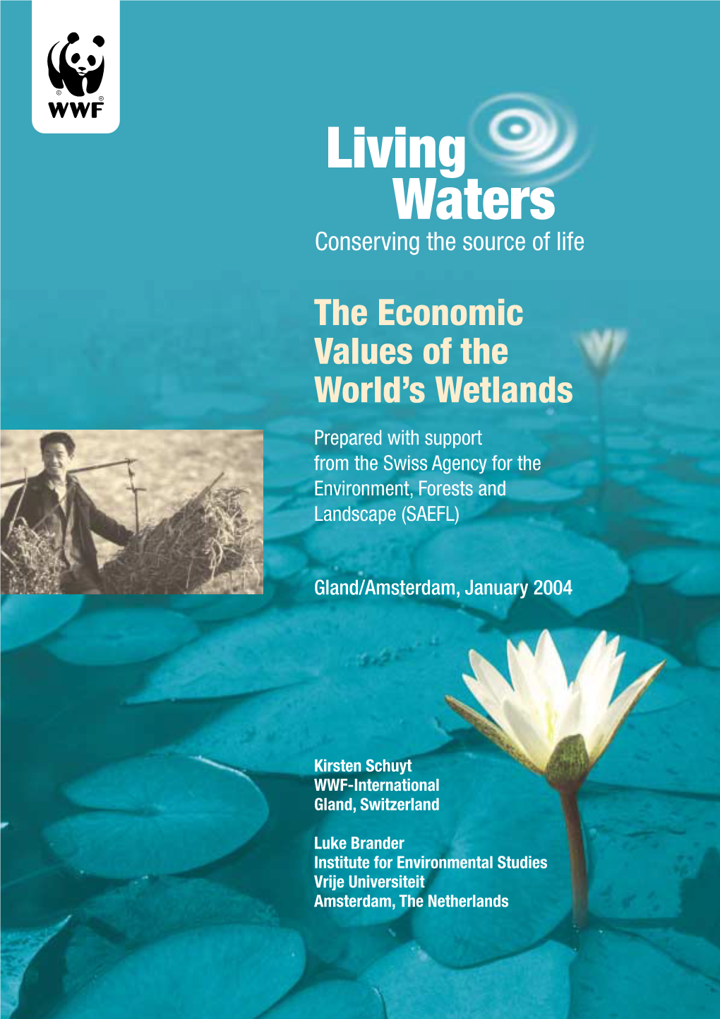 Economic Values of the World's Wetlands