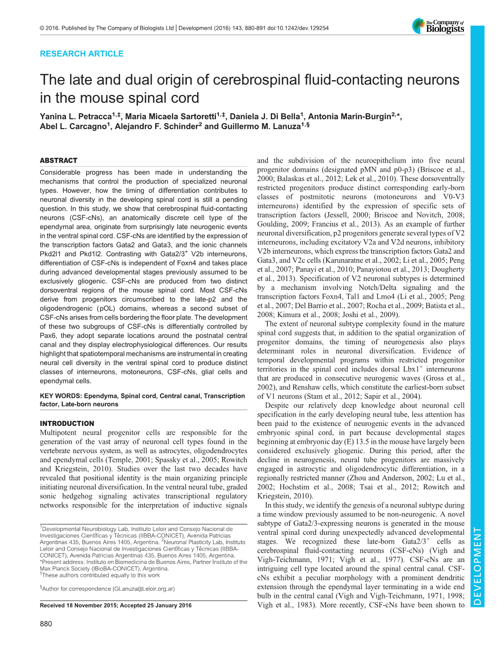 The Late and Dual Origin of Cerebrospinal Fluid-Contacting Neurons in the Mouse Spinal Cord Yanina L