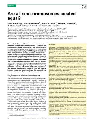 Are All Sex Chromosomes Created Equal?
