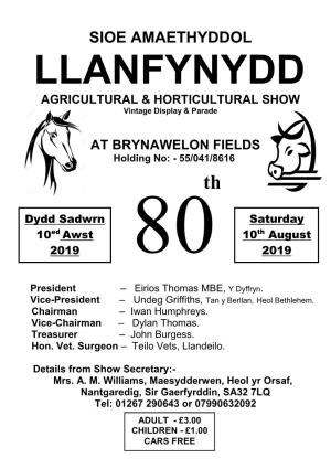 Llanfynydd Village Show