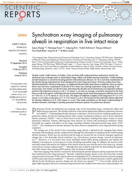 Synchrotron X-Ray Imaging of Pulmonary Alveoli in Respiration In