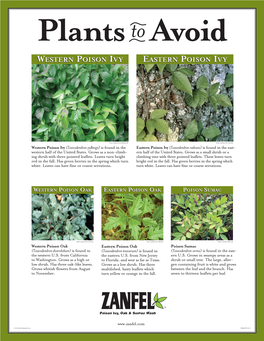 ZAN406-Plant ID Poster 20120201