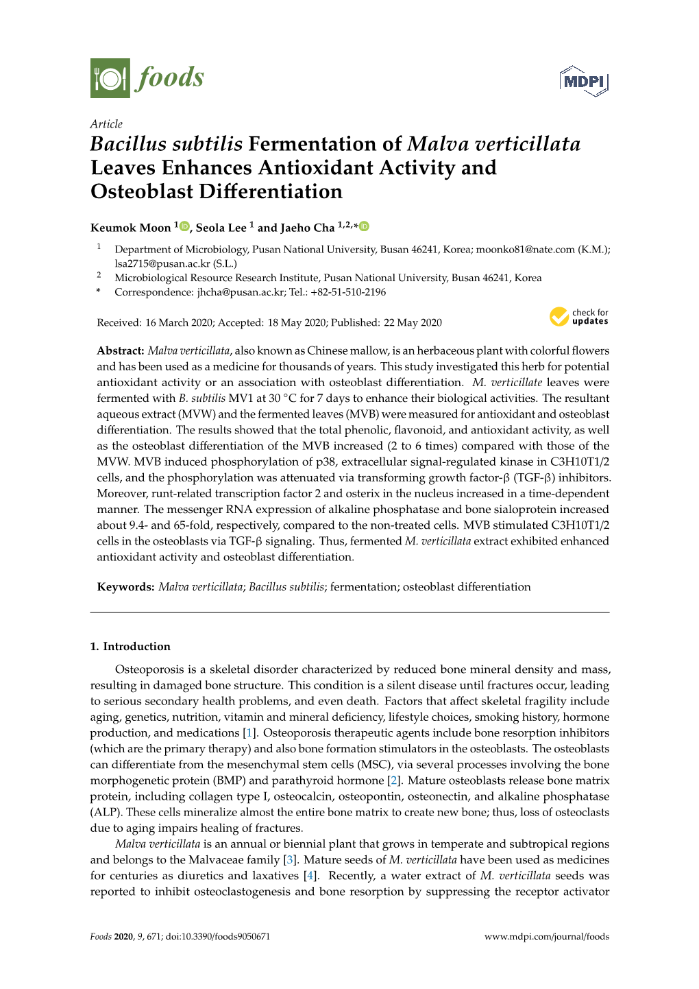 Bacillus Subtilis Fermentation of Malva Verticillata Leaves Enhances Antioxidant Activity and Osteoblast Diﬀerentiation