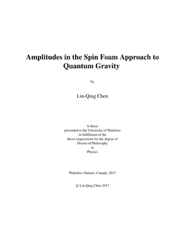 Amplitudes in the Spin Foam Approach to Quantum Gravity