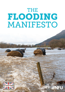 FLOODING MANIFESTO the Flooding Manifesto