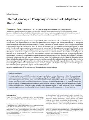 Effect of Rhodopsin Phosphorylation on Dark Adaptation in Mouse Rods