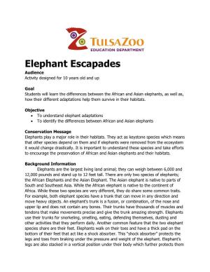 Elephant Escapades Audience Activity Designed for 10 Years Old and Up