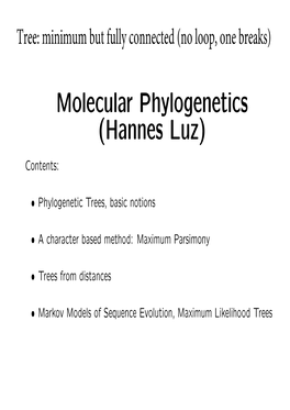 Molecular Phylogenetics (Hannes Luz)