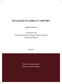 Detailed Feasibility Report