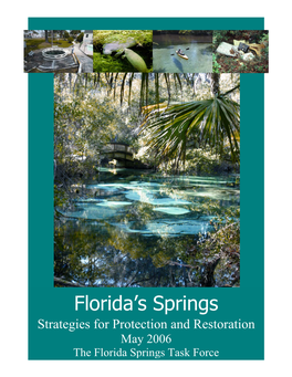 Florida's Springs