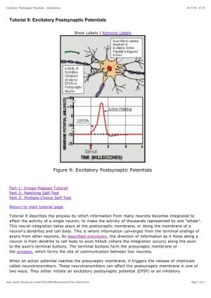 Tutorial 9: Excitatory Postsynaptic Potentials Figure 9: Excitatory
