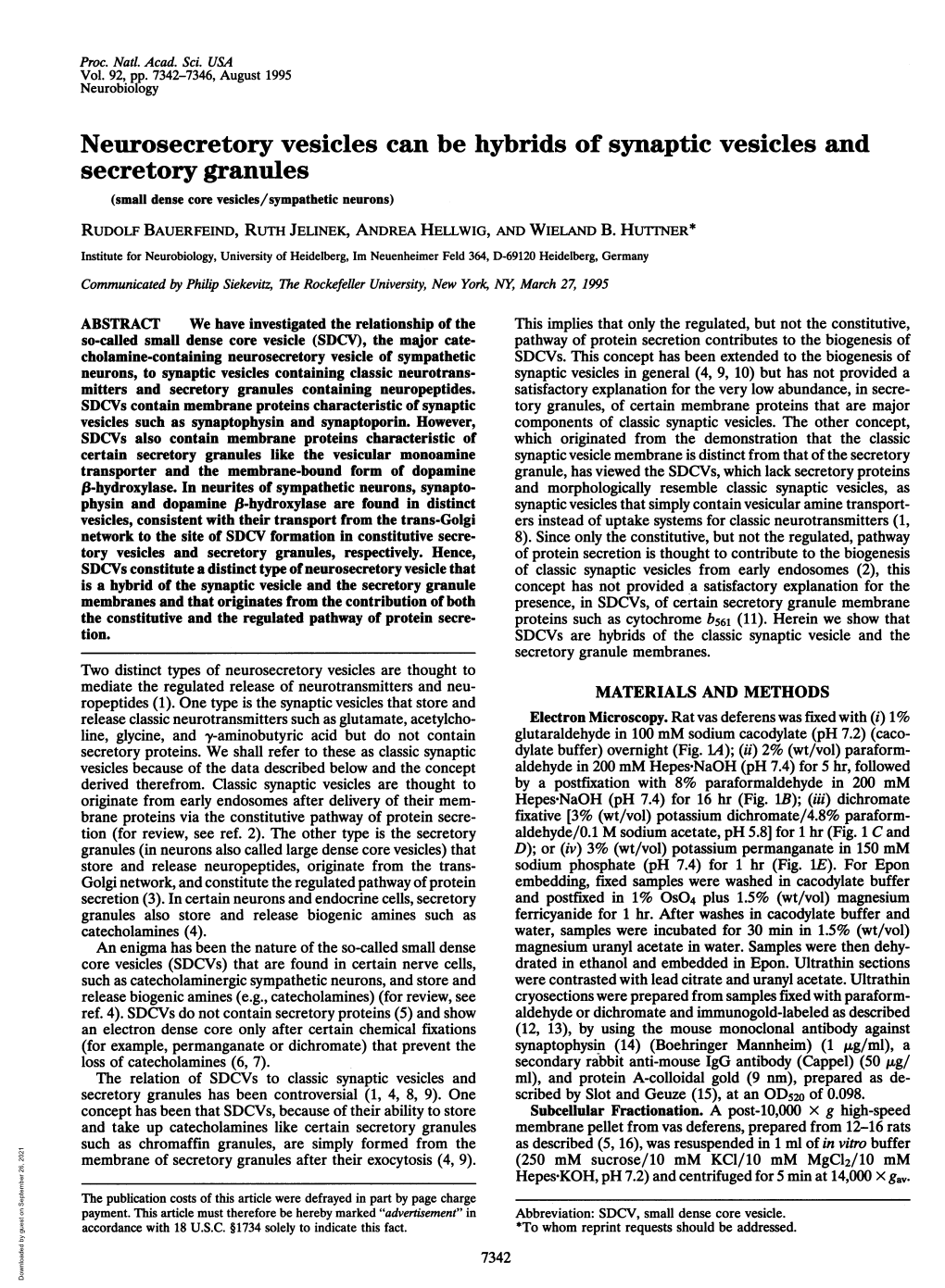 Neurosecretory Vesicles Can Be Hybrids of Synaptic Vesicles