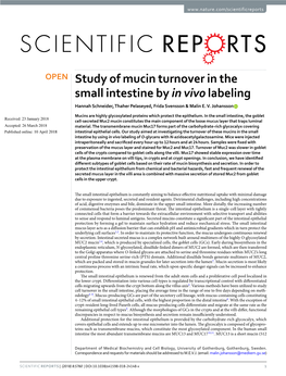 Study of Mucin Turnover in the Small Intestine by in Vivo Labeling Hannah Schneider, Thaher Pelaseyed, Frida Svensson & Malin E