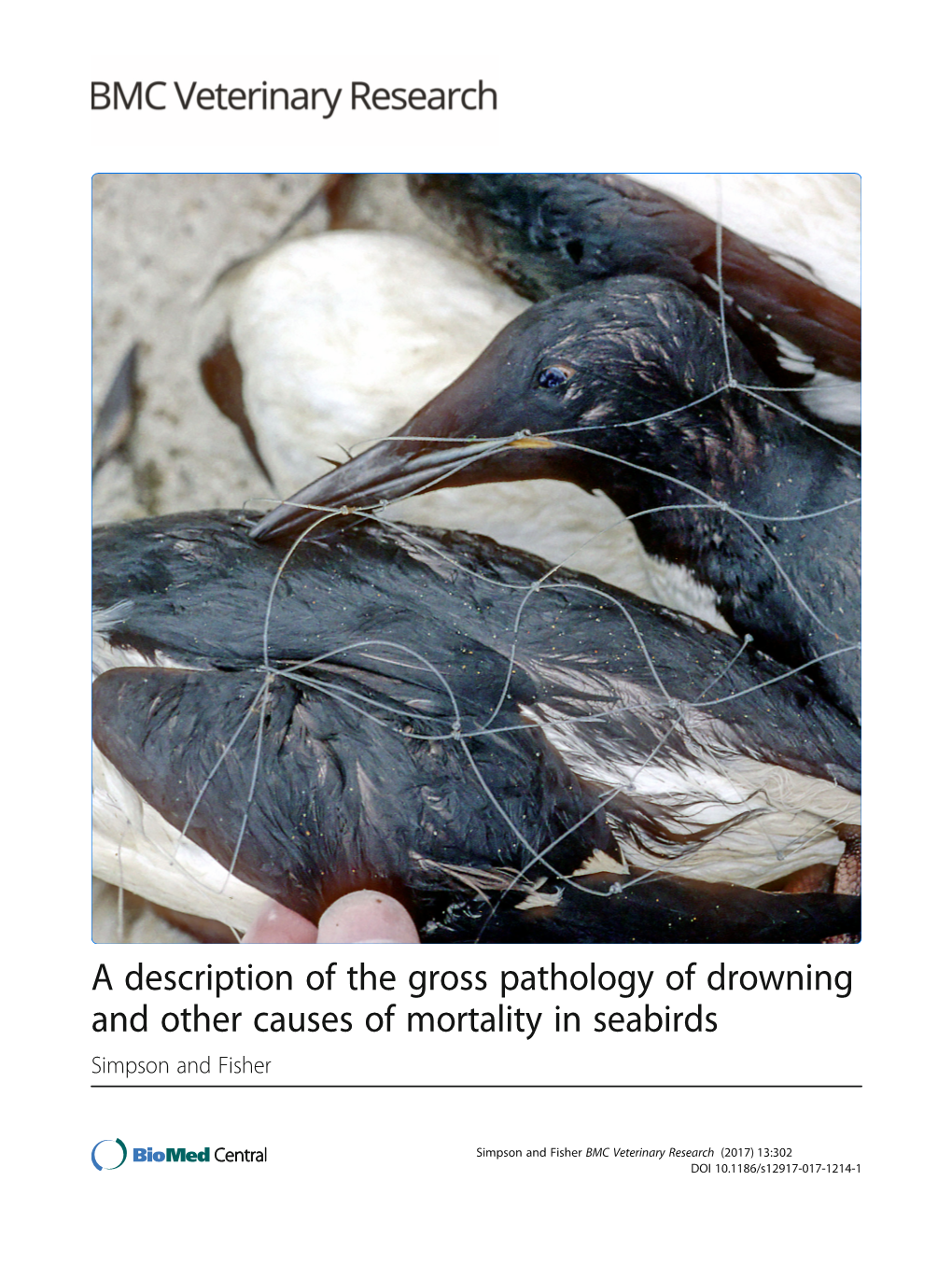 A Description of the Gross Pathology of Drowning and Other Causes of Mortality in Seabirds Simpson and Fisher