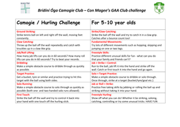 Camogie / Hurling Challenge for 5-10 Year Olds