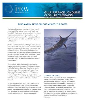 Blue Marlin in the Gulf of Mexico: the Facts