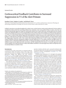Corticocortical Feedback Contributes to Surround Suppression in V1 of the Alert Primate