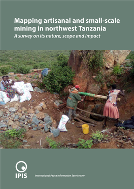 Mapping Artisanal and Small-Scale Mining in Northwest Tanzania a Survey on Its Nature, Scope and Impact