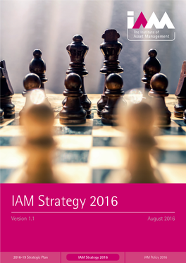 IAM Strategy Aug16.Pdf
