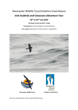 2019 Irish Seabirds & Whales Trip Report